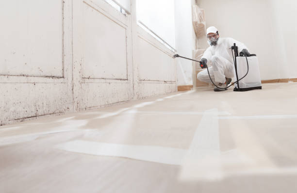 24/7 Emergency Commercial Mold Remediation experts in Plant City, FL